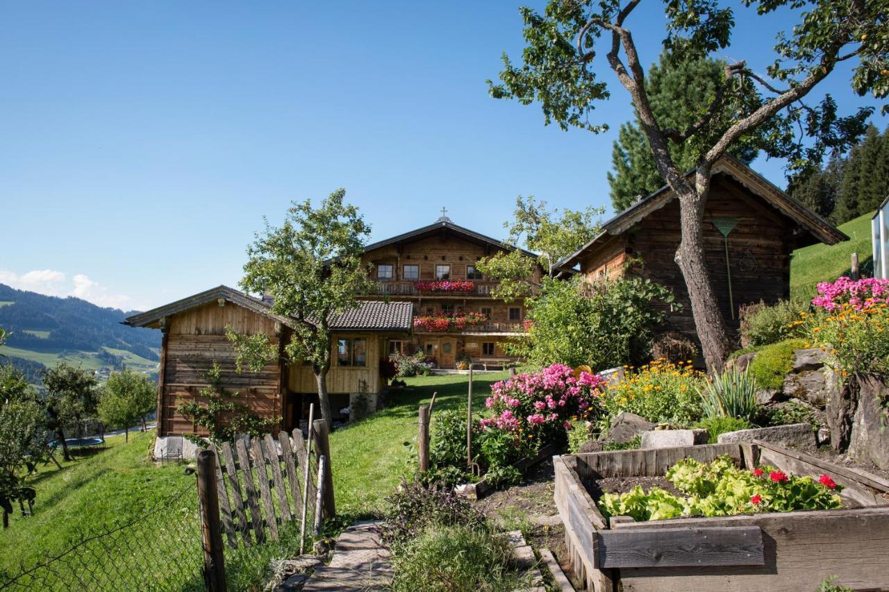 Siedlerhof Apartamento Hopfgarten im Brixental Exterior foto