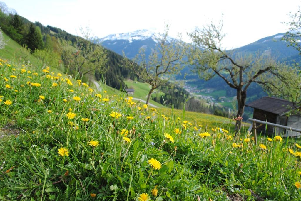 Siedlerhof Apartamento Hopfgarten im Brixental Exterior foto